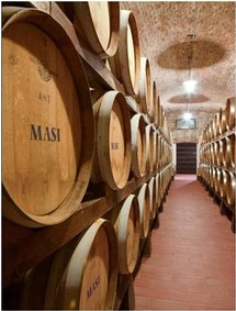 Masi barrel room, Verona, Italy